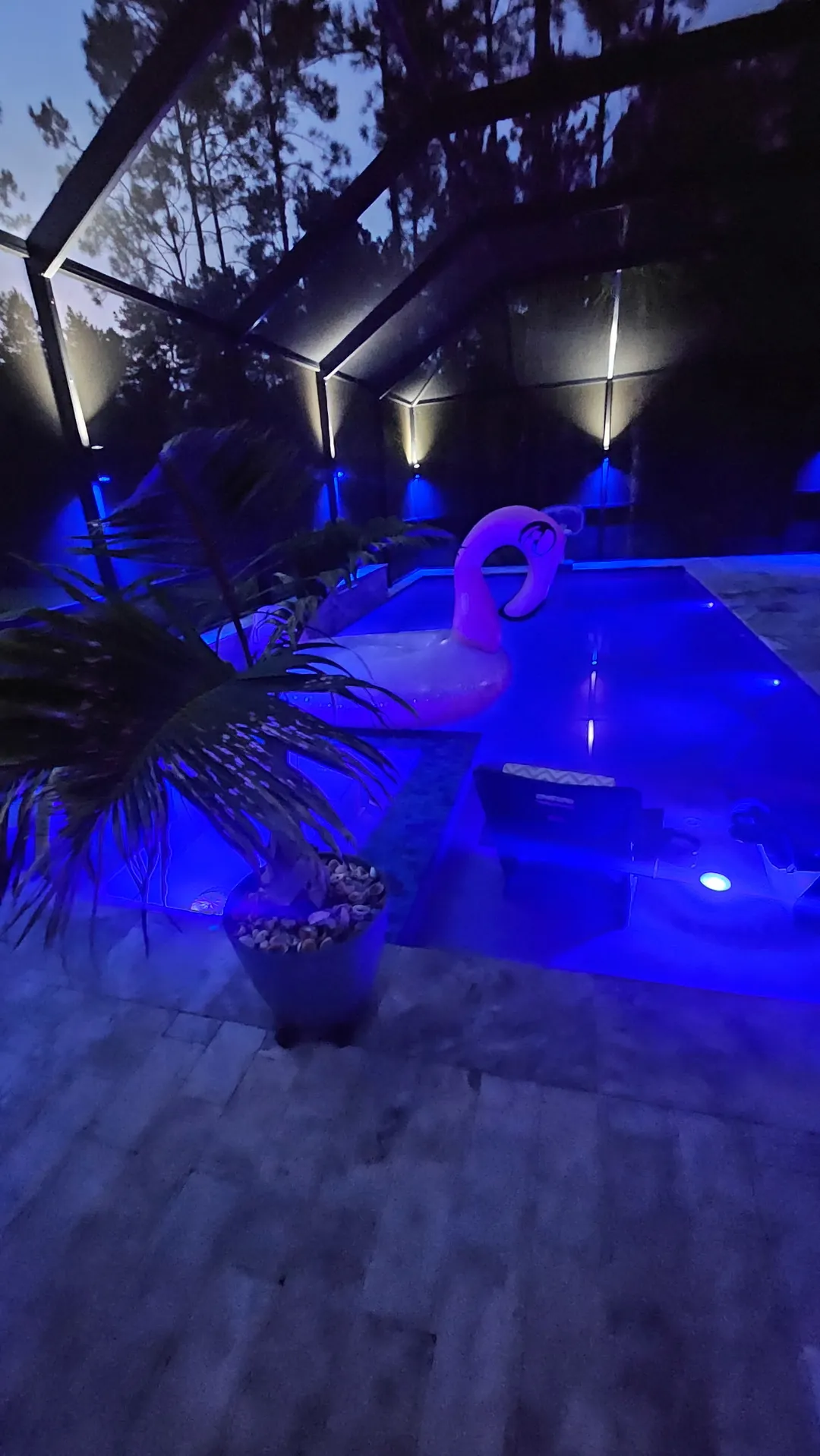 Loungers beside the blue water after dark
