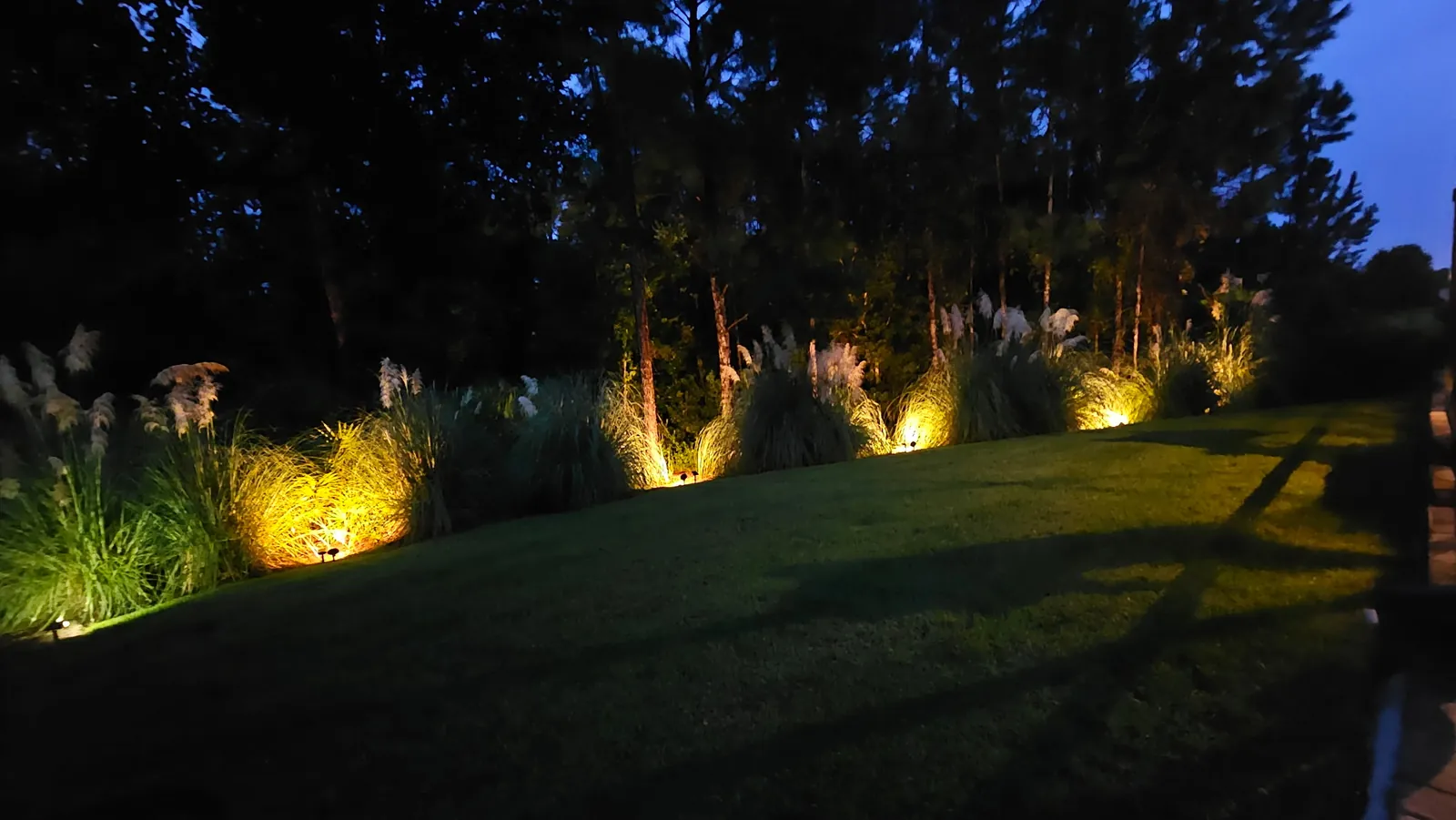 Grass and tree uplights across the grounds outside the enclosure